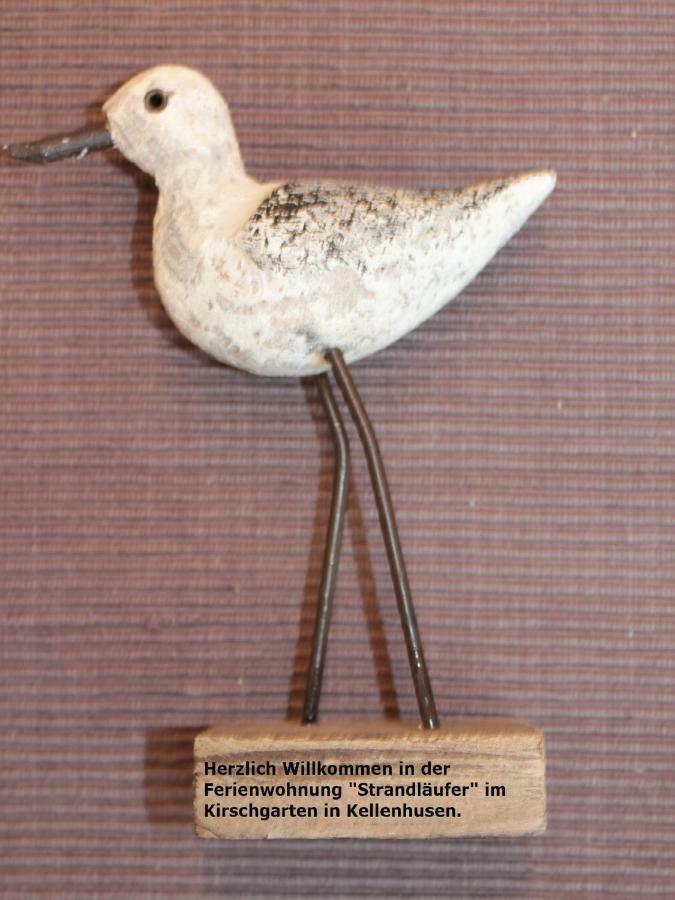 Strandläufer im Kirschgarten Kellenhusen Exterior foto